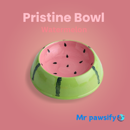 MrPawsify Pristine Bowl - Hygienic & Easy-to-Clean