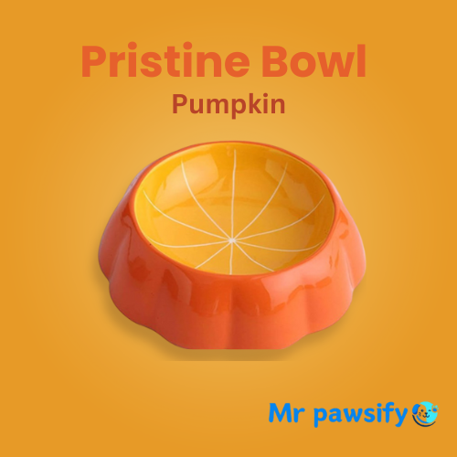 MrPawsify Pristine Bowl - Hygienic & Easy-to-Clean