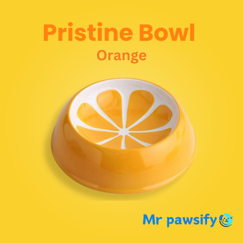 MrPawsify Pristine Bowl - Hygienic & Easy-to-Clean