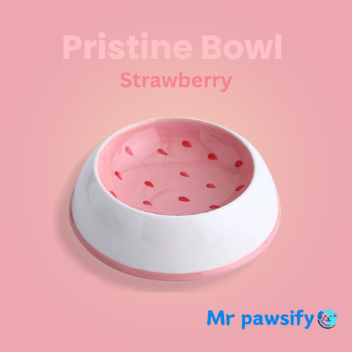 MrPawsify Pristine Bowl - Hygienic & Easy-to-Clean