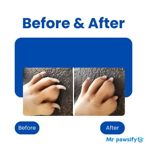 MrPawsify Relief Revive - Gentle Nail Grinder for Cats and Dogs