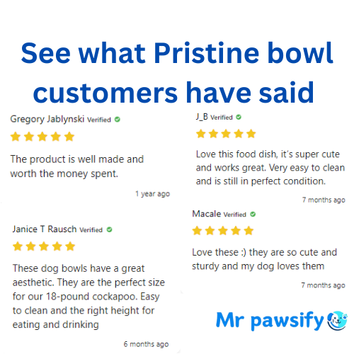 MrPawsify Pristine Bowl - Hygienic & Easy-to-Clean