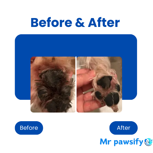 MrPawsify Paw Renew - Pet Paw Cleaner for Dogs and Cats